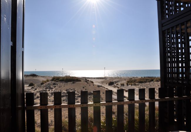 Appartement à Lacanau - HORIZON MARIN 56 - 2121 Appartement à Lacanau - HORIZON MARIN 56 - 2121