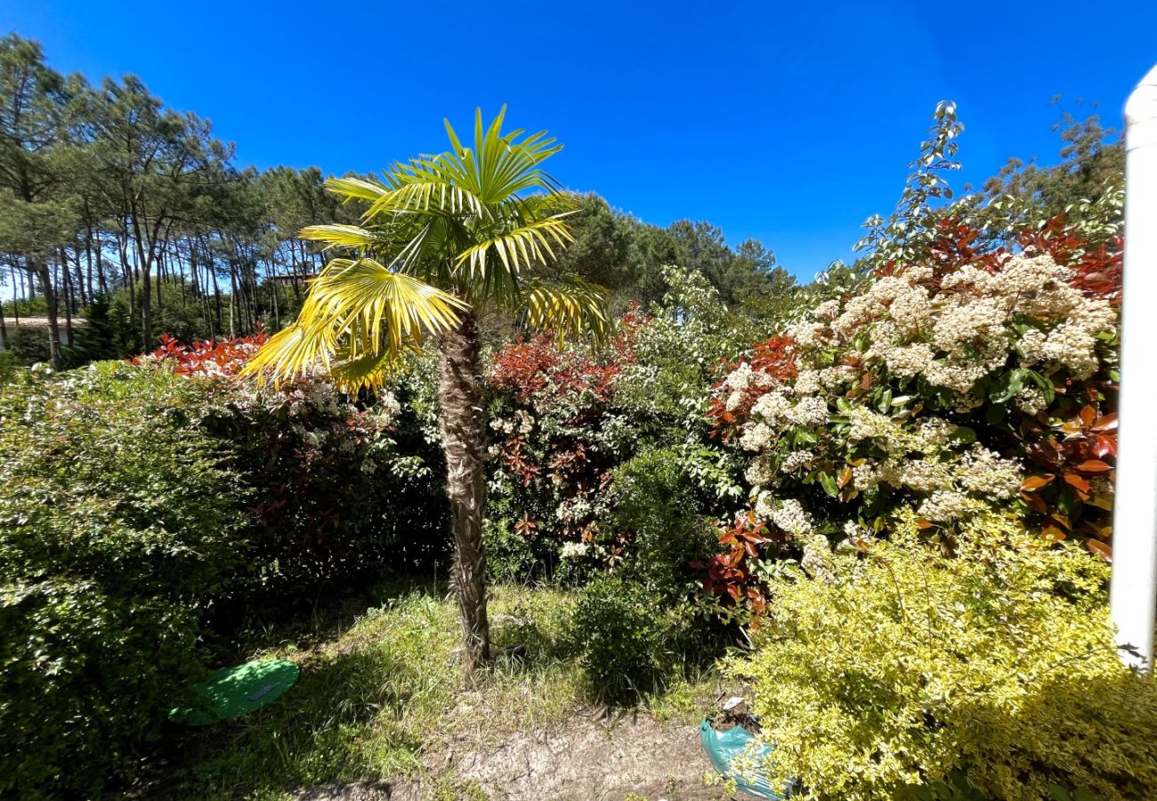 Villa à Lacanau - LE DRIVE - 548080