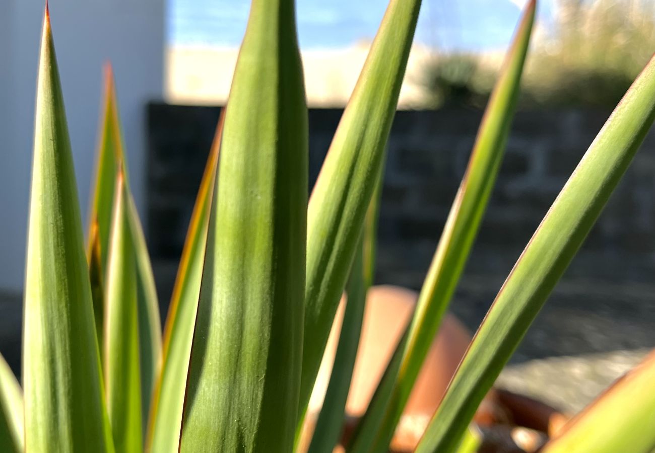 Villa à Lacanau - 22 ECUREUILS - 684895